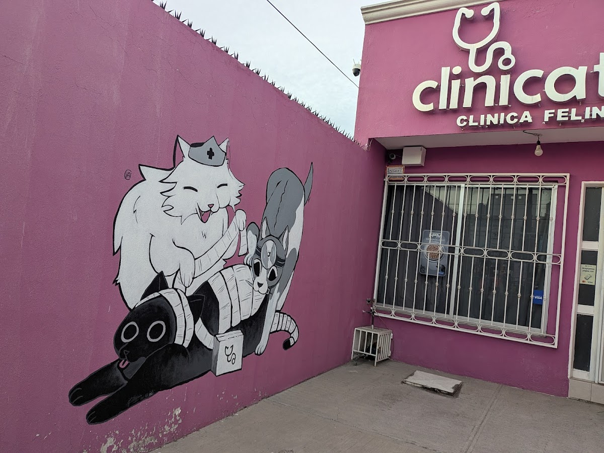 Clinicat — foto 3