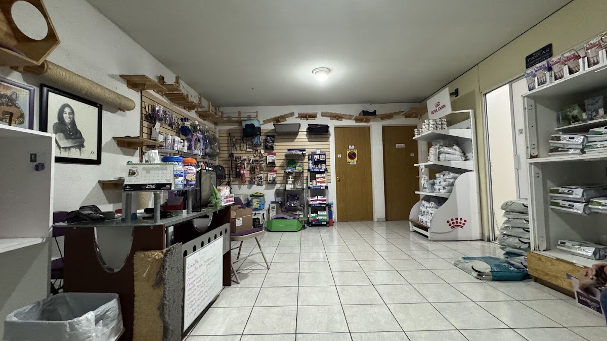 Clinicat — foto 4