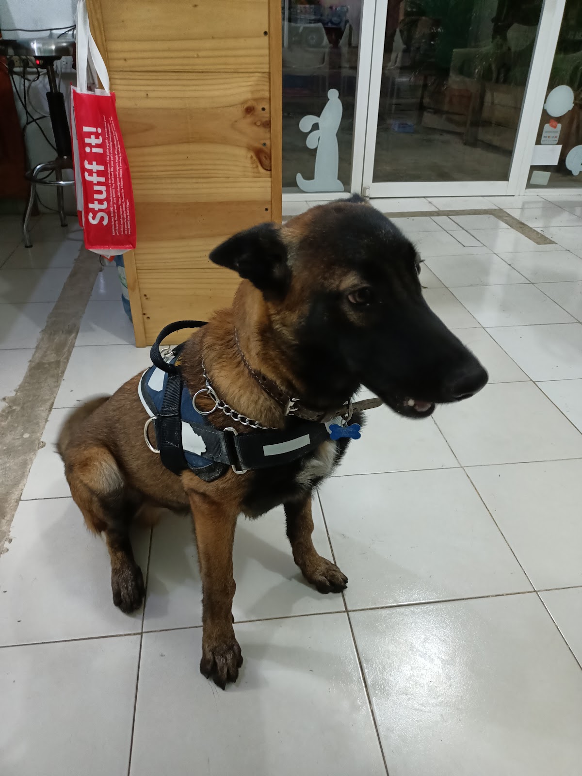La Vet del Puerto — foto 4