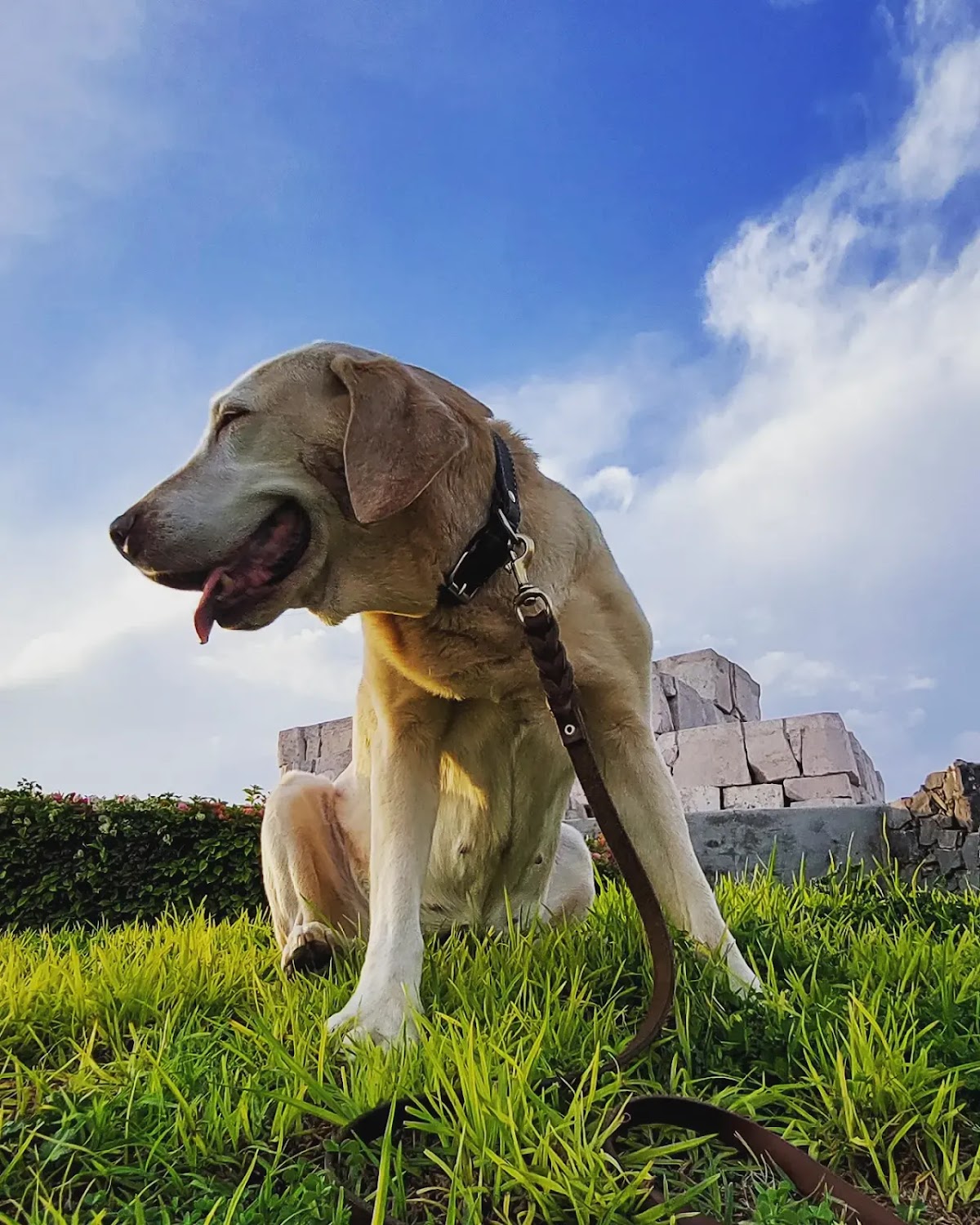 Centro De Salud Animal — foto 3