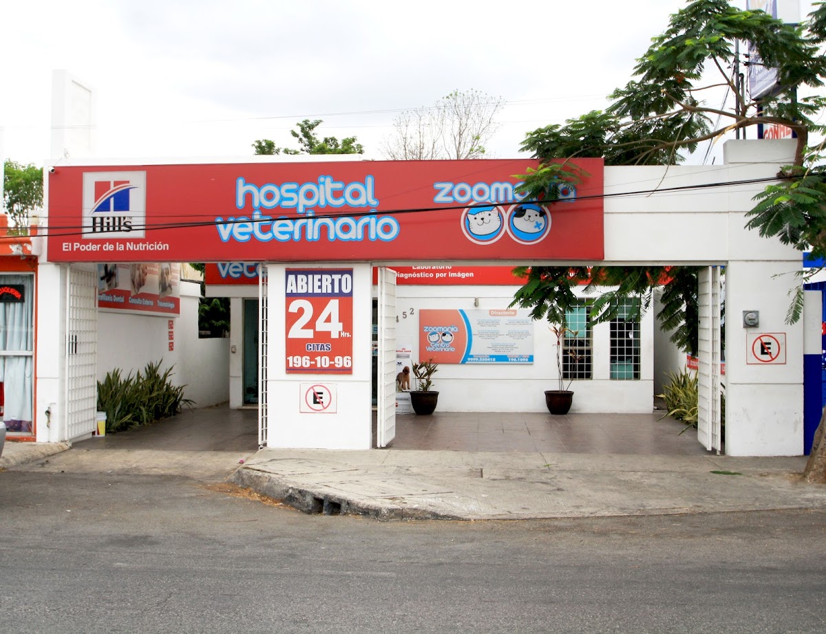 Centro Veterinario Zoomania