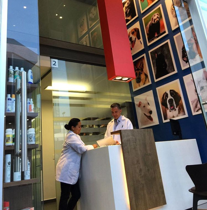 Hospital Veterinario de Puebla Unidad Lomas — foto 3