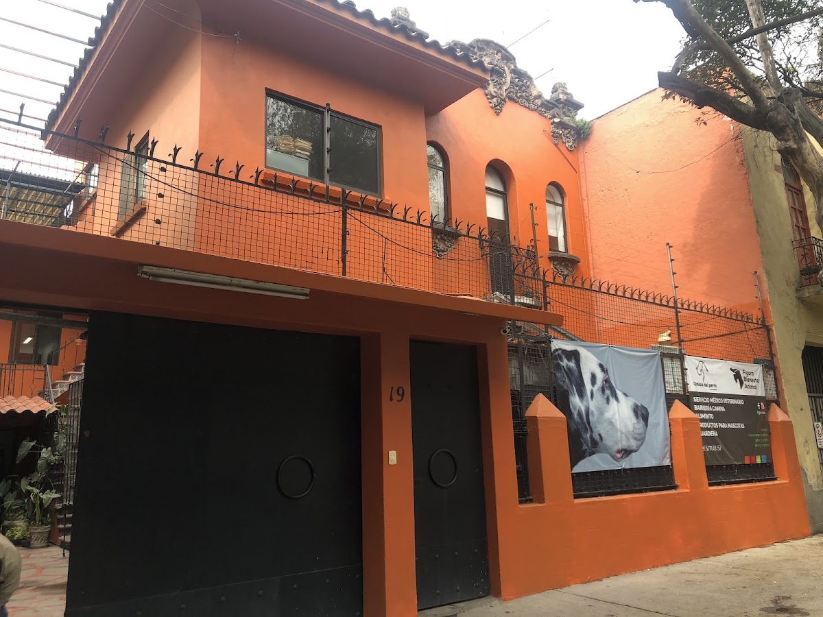 Clínica del Perro y otras especies — foto 2