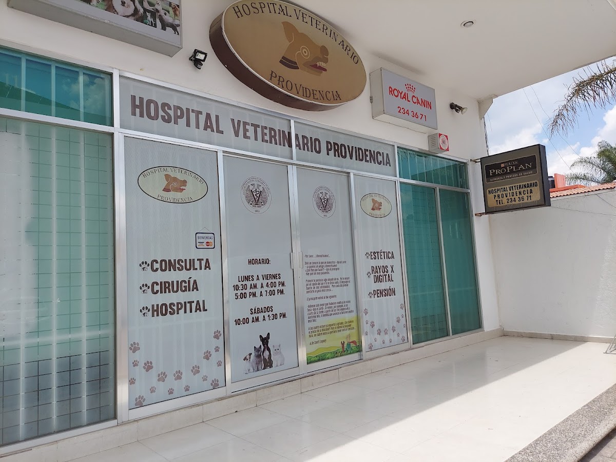 Veterinario Hospital Providencia