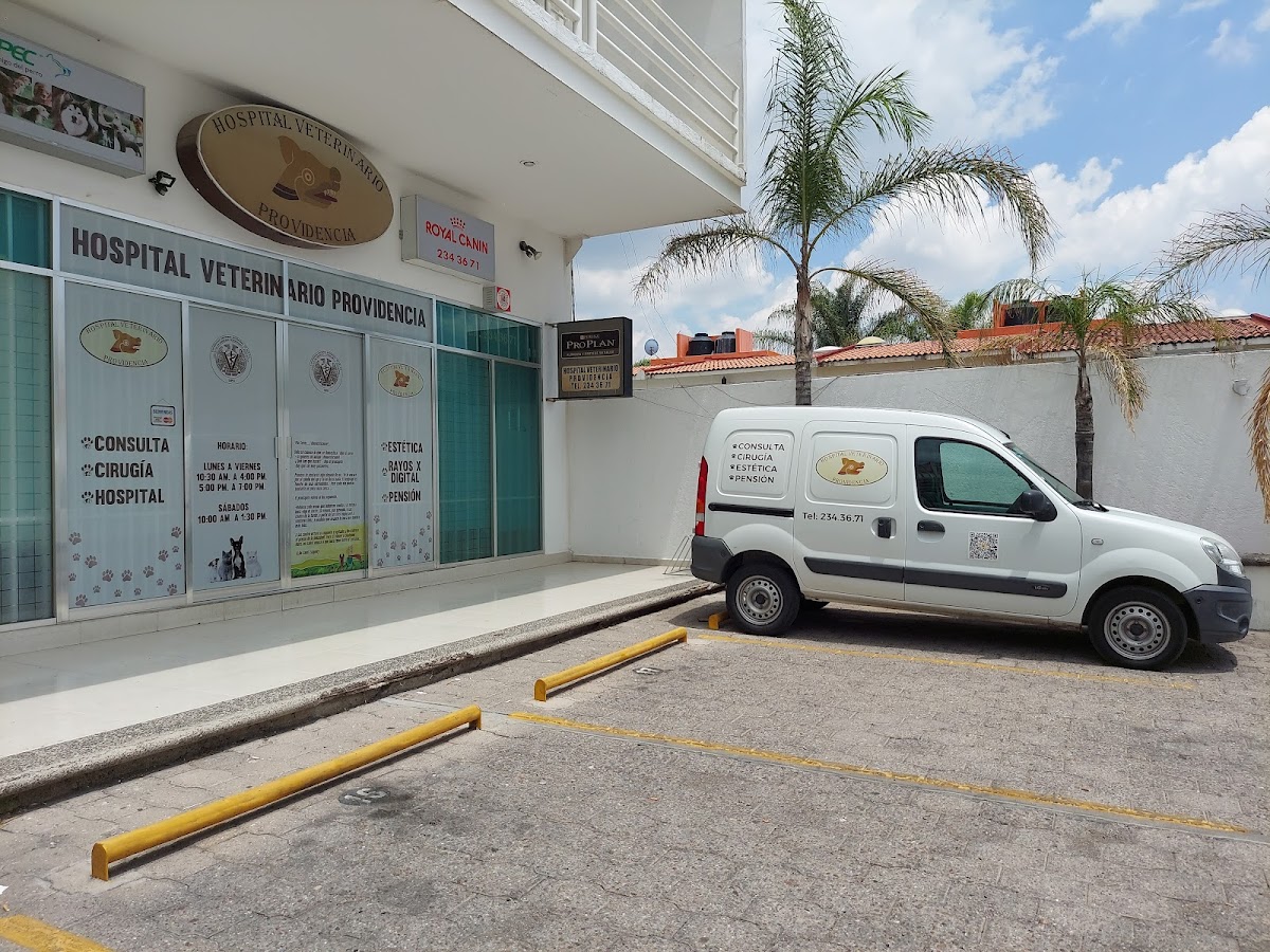 Veterinario Hospital Providencia — foto 3