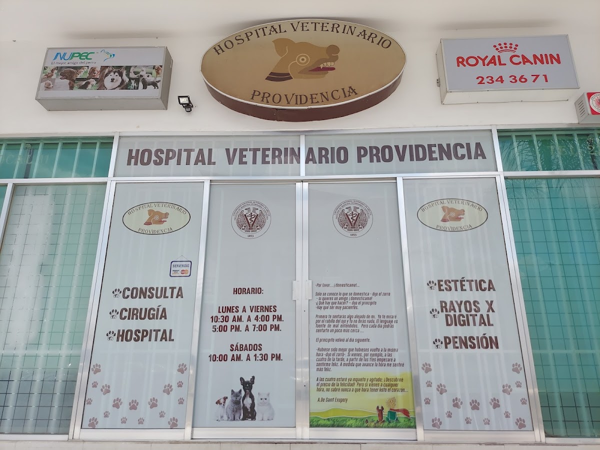 Veterinario Hospital Providencia — foto 4