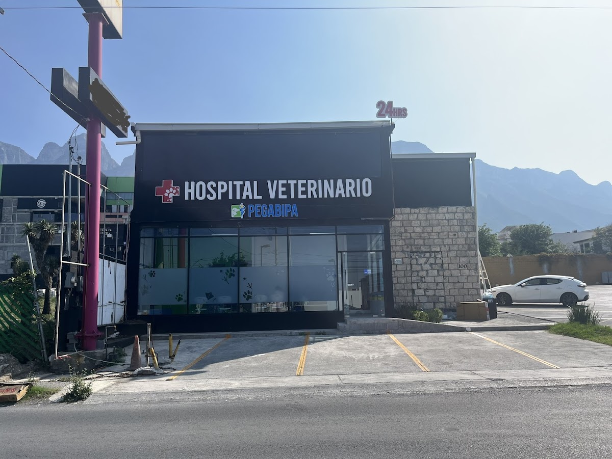 Hospital Veterinario PEGABIPA - Alta Especialidad- — foto 3