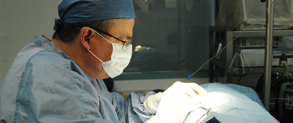 Otay Vet - Veterinary Clinic Tijuana