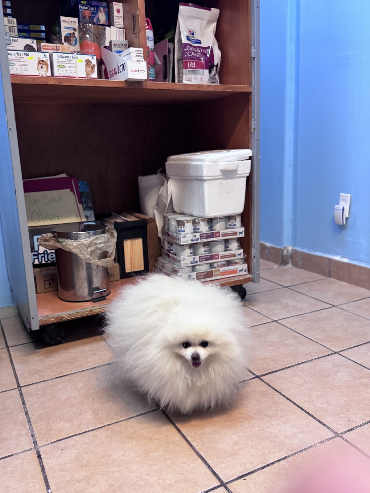 CEMEDICAVET Pet Friendly - Veterinary Clinic — foto 2