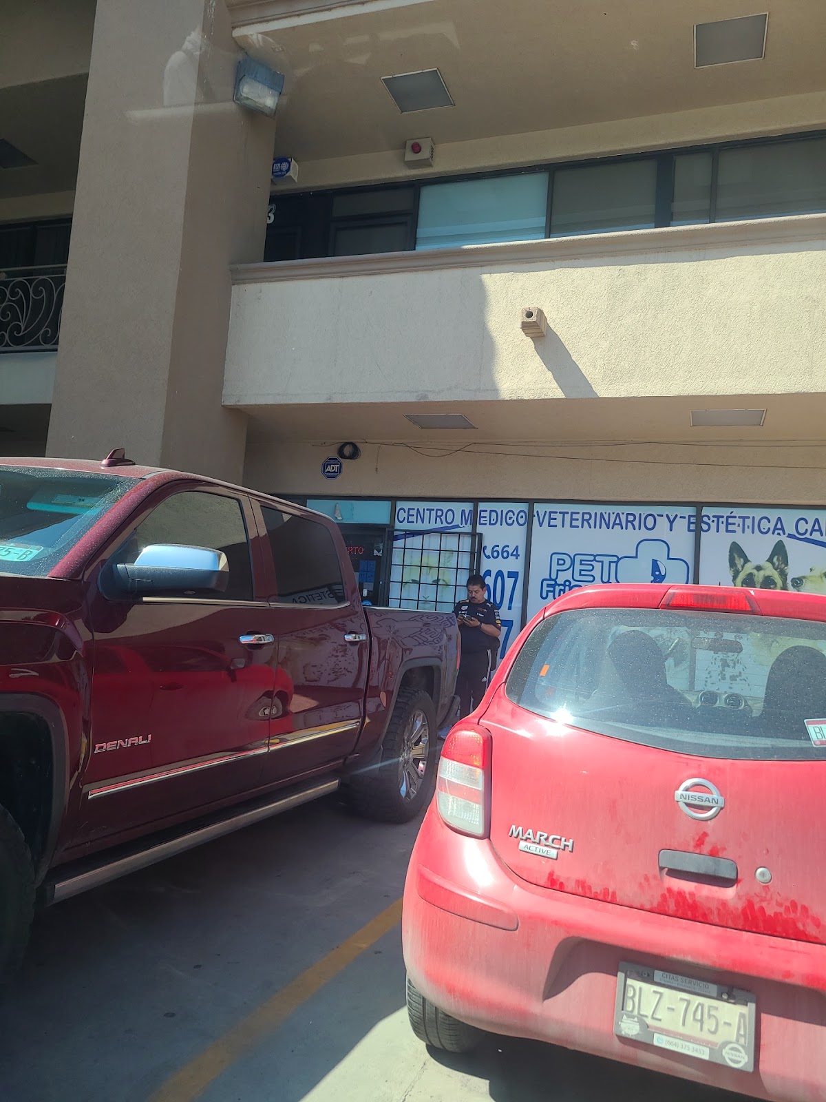CEMEDICAVET Pet Friendly - Veterinary Clinic — foto 4