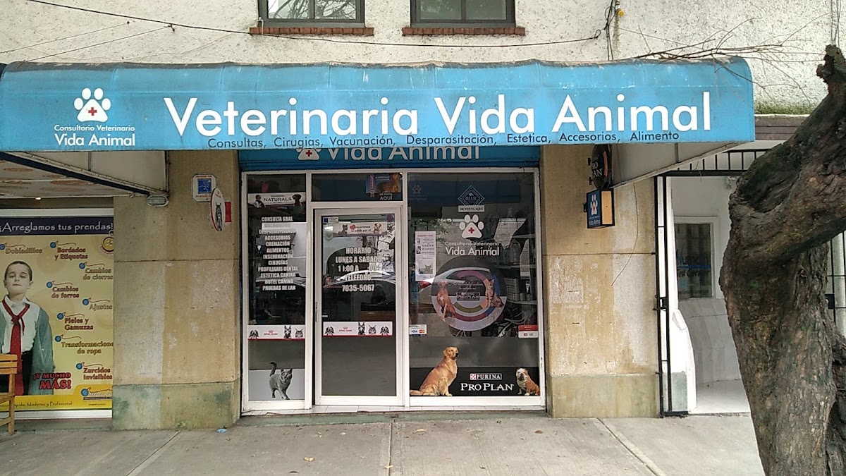 Vida Animal