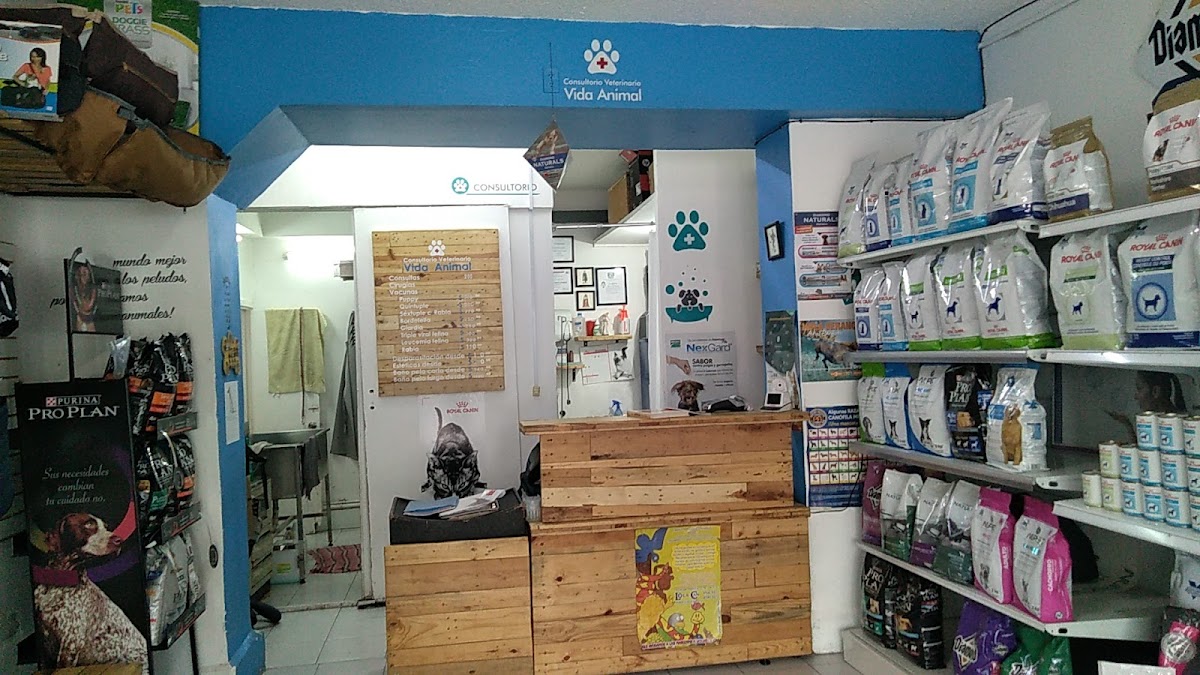 Vida Animal — foto 2