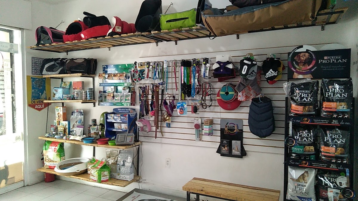 Vida Animal — foto 3