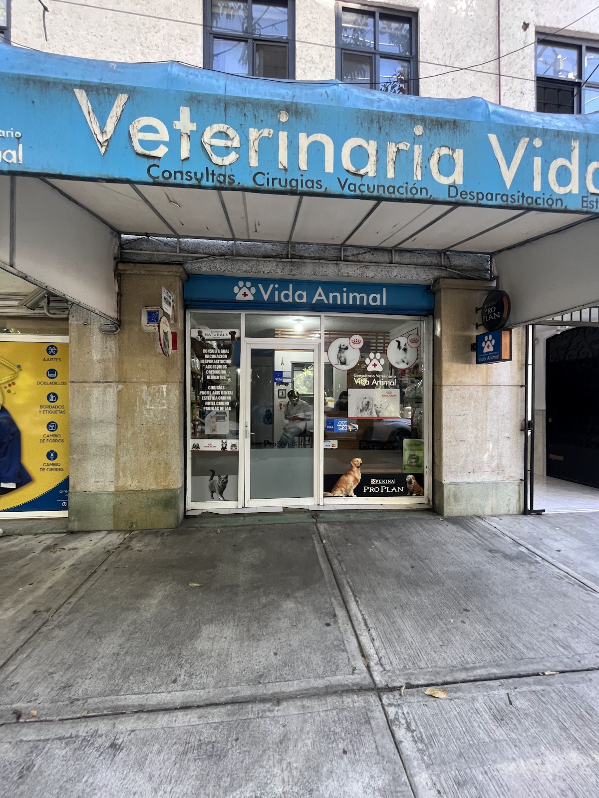 Vida Animal — foto 4
