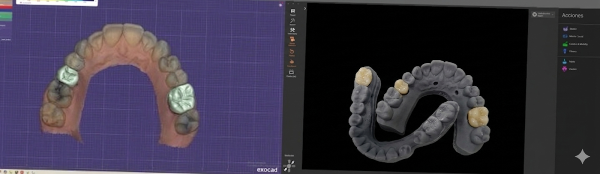 Smile & Align - Orthodontics Dental Studio — foto 4