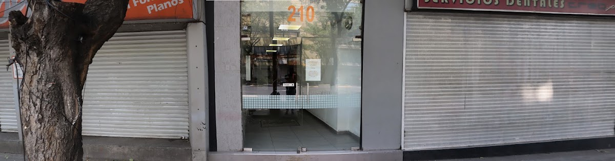 Dra. Paola Álvarez Ortodoncista — foto 3