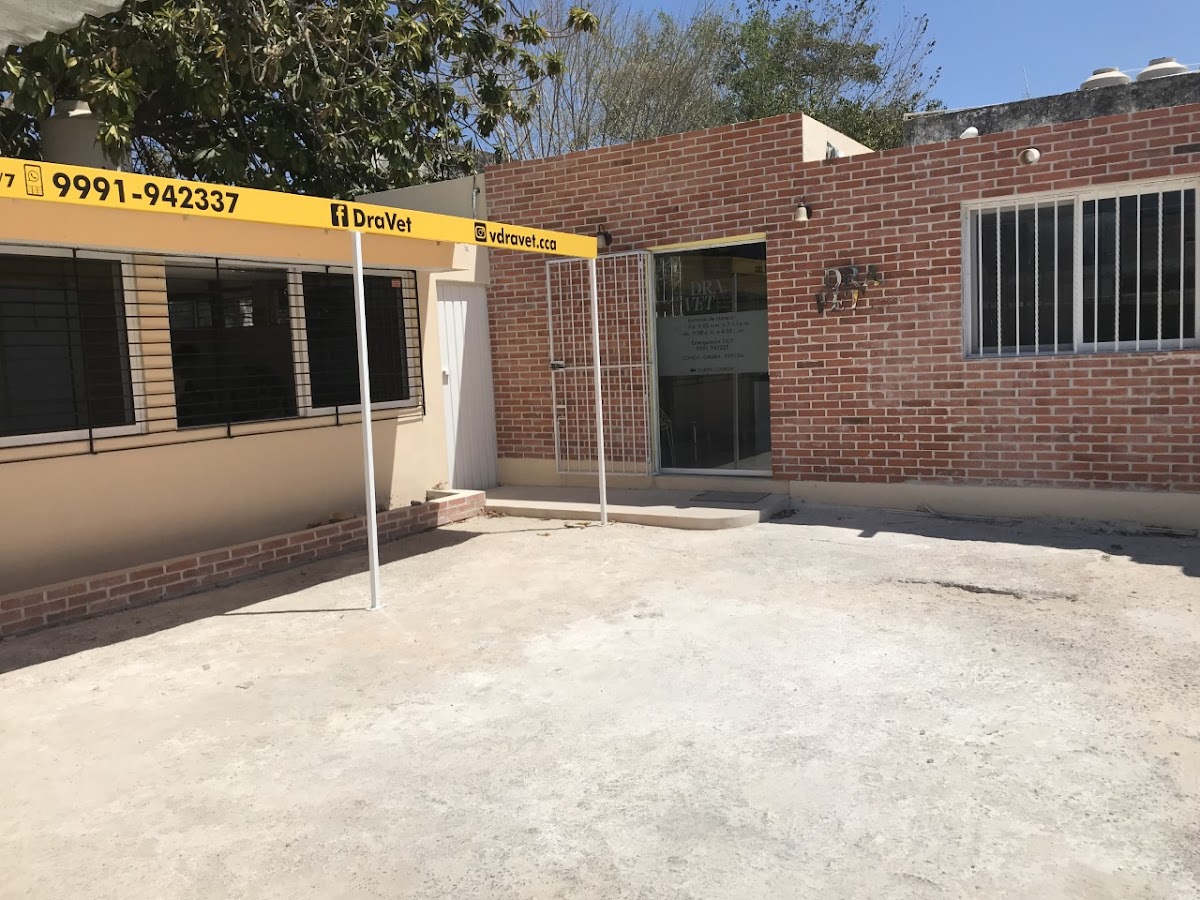 DRA VET CENTRO DE CUIDADO ANIMAL — foto 3