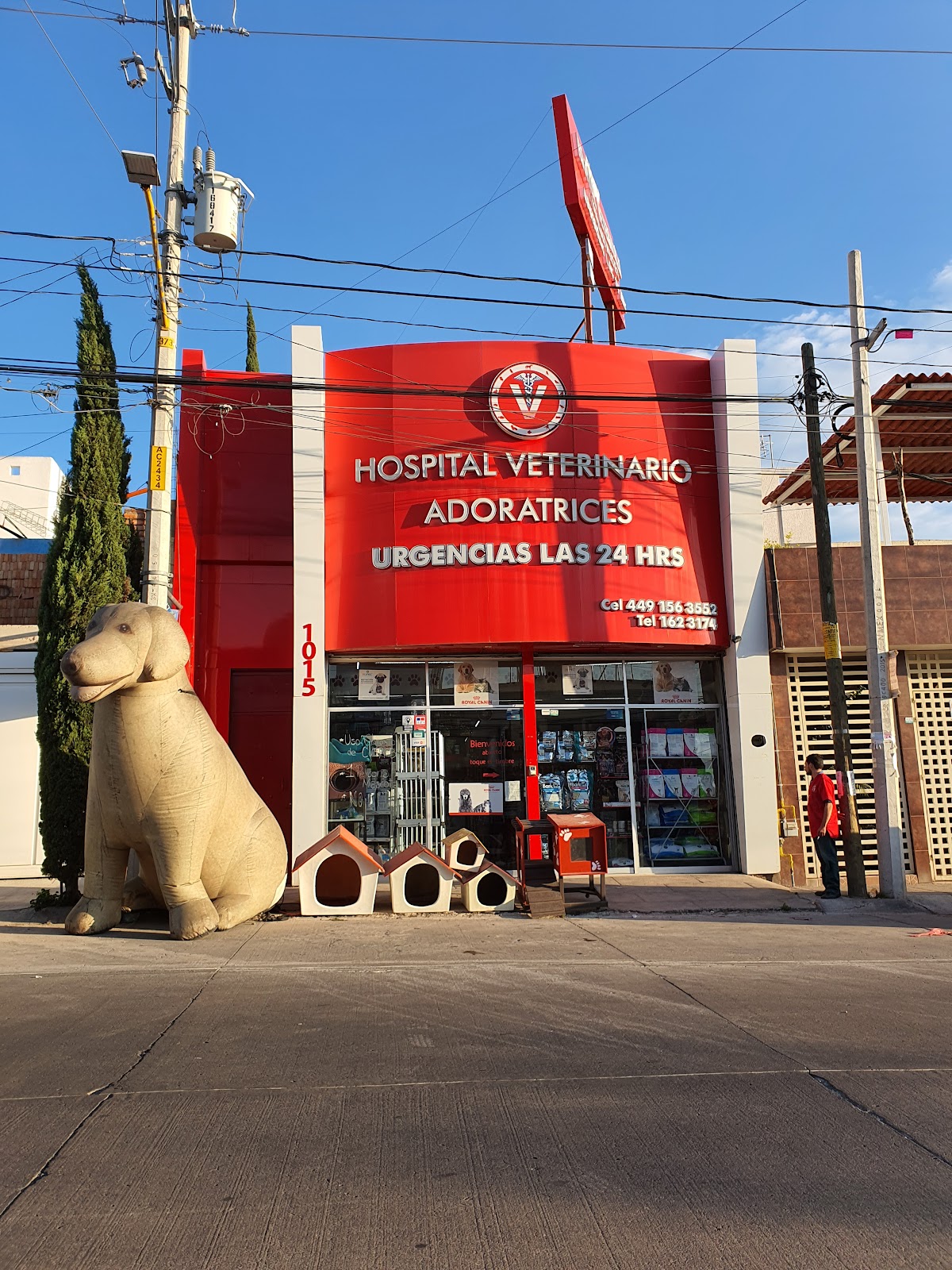 Hospital Veterinario Adoratrices