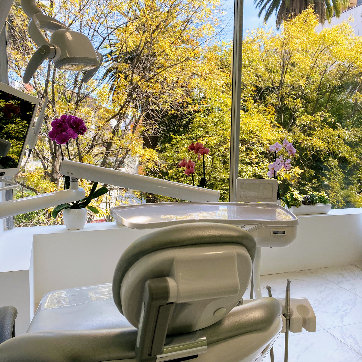 Dentista en CDMX Beamann Hobbs — foto 2
