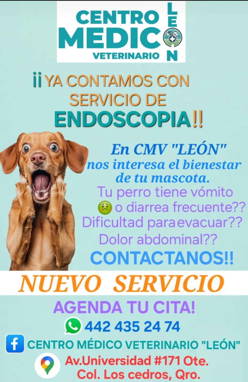 Centro Medico Veterinario León