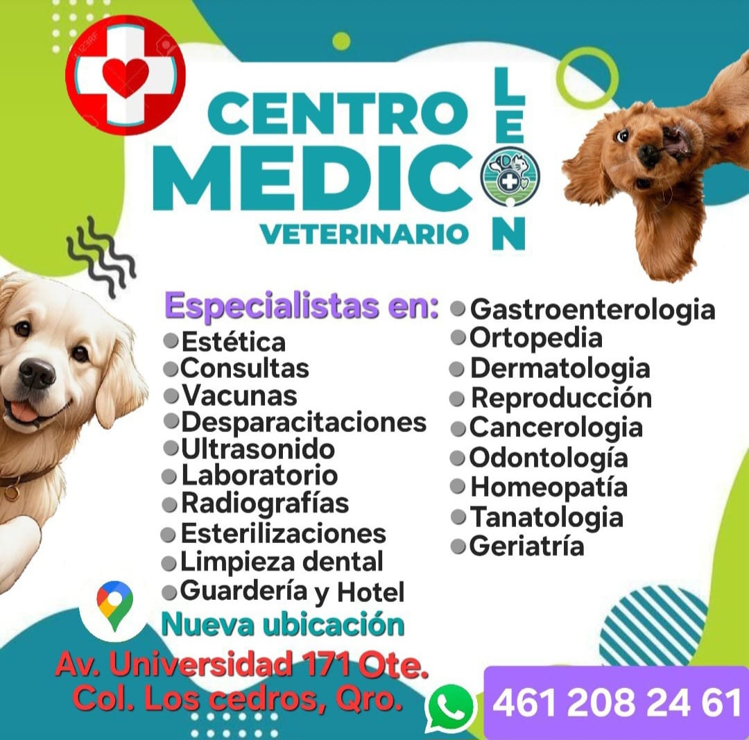 Centro Medico Veterinario León — foto 2