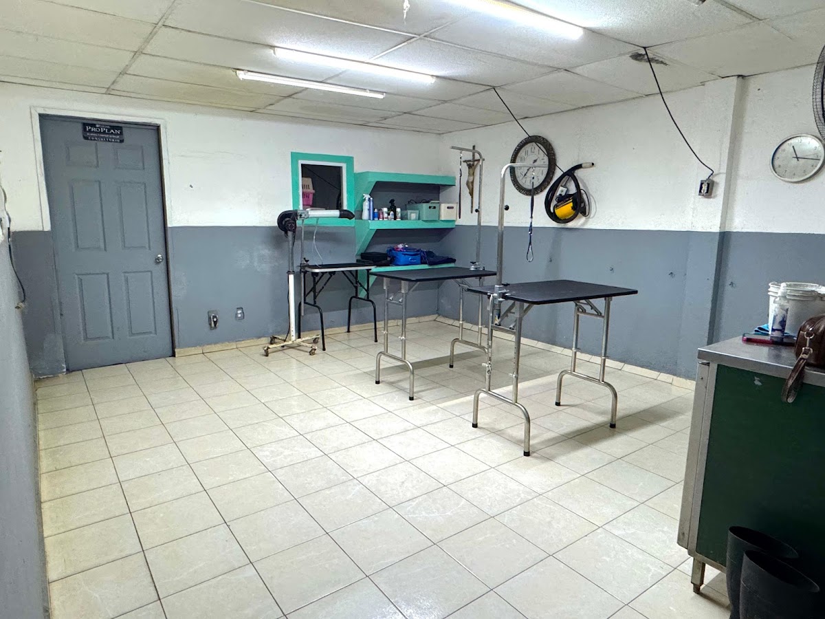 Clinica Veterinaria Volkovet. — foto 3