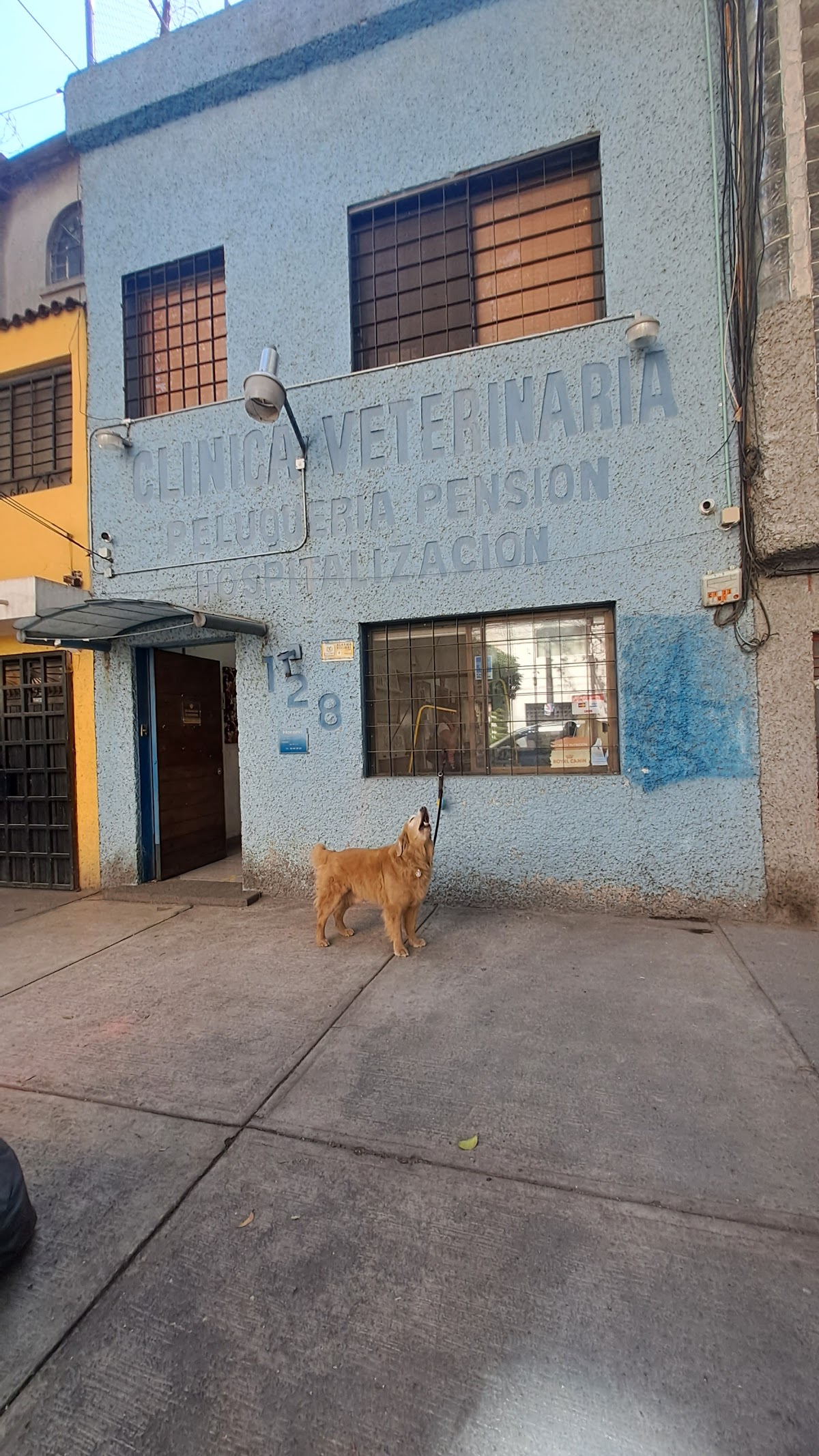 CLINICA VETERINARIA PEDRO SOTO — foto 2