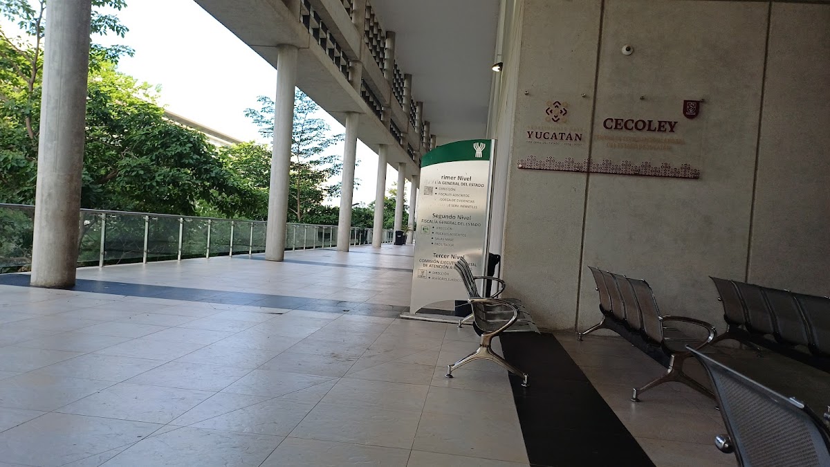 Tribunal Primero Laboral del Poder Judicial de Yucatán — foto 2