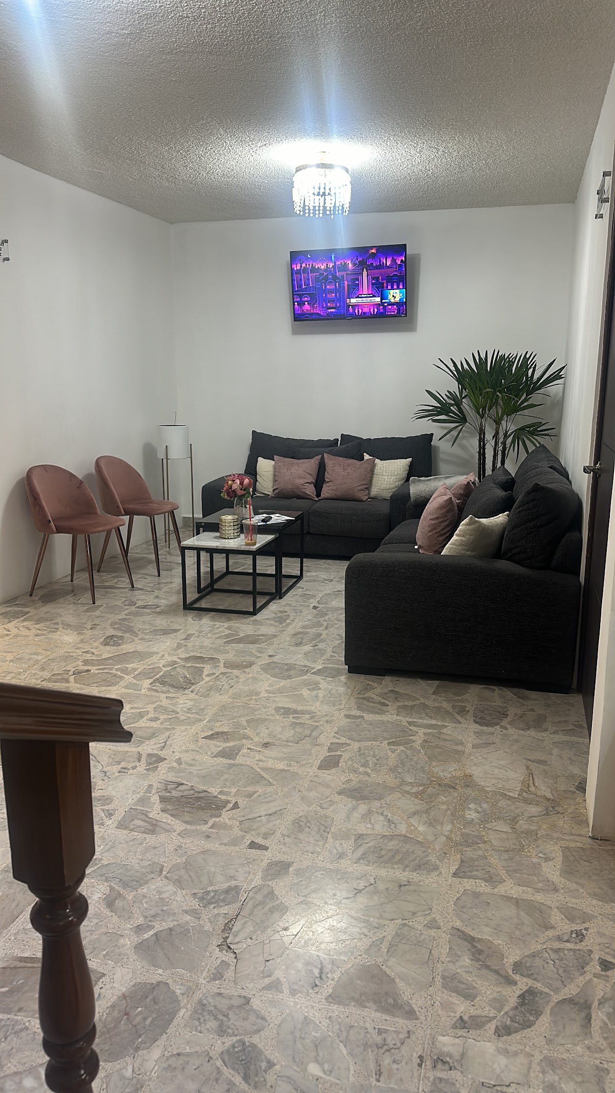 Dra.Silvia Paola Ramírez. Ortodoncia Estética — foto 3