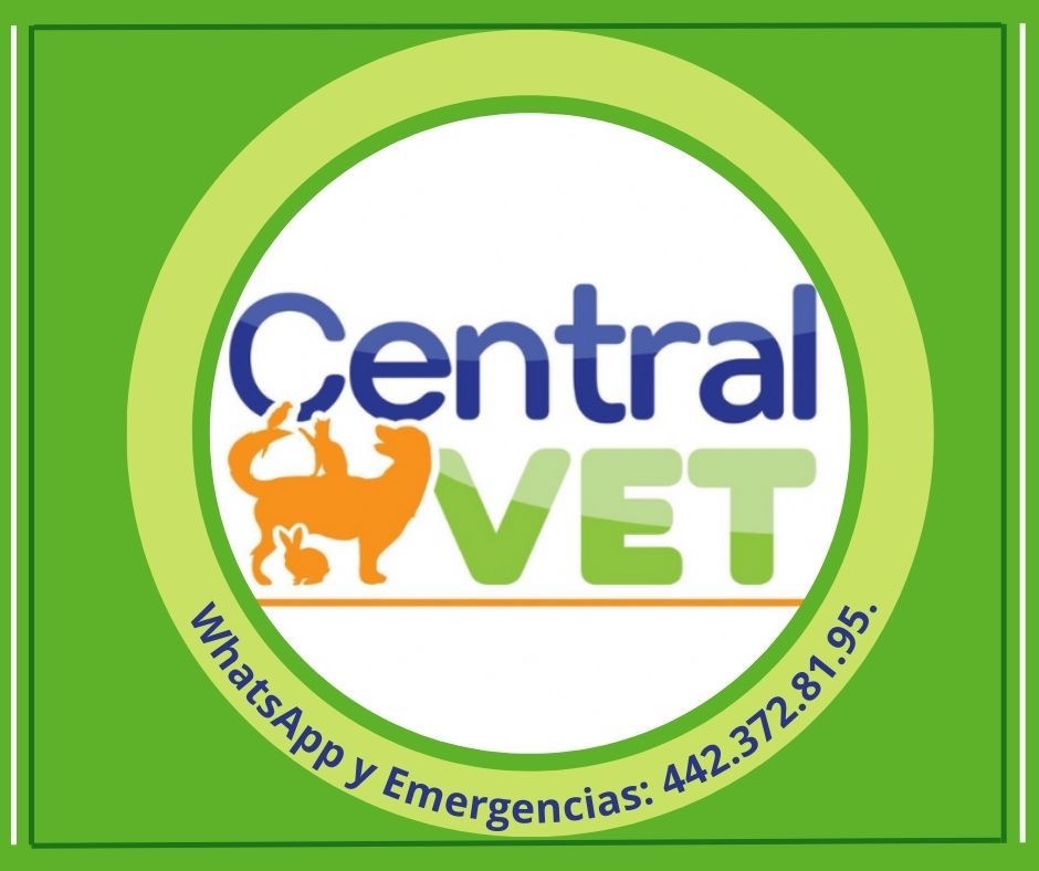 Central Vet - Veterinario