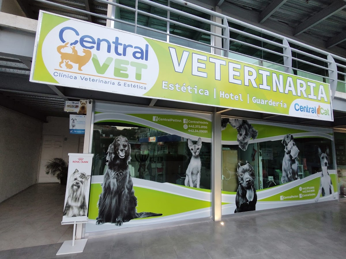 Central Vet - Veterinario — foto 2