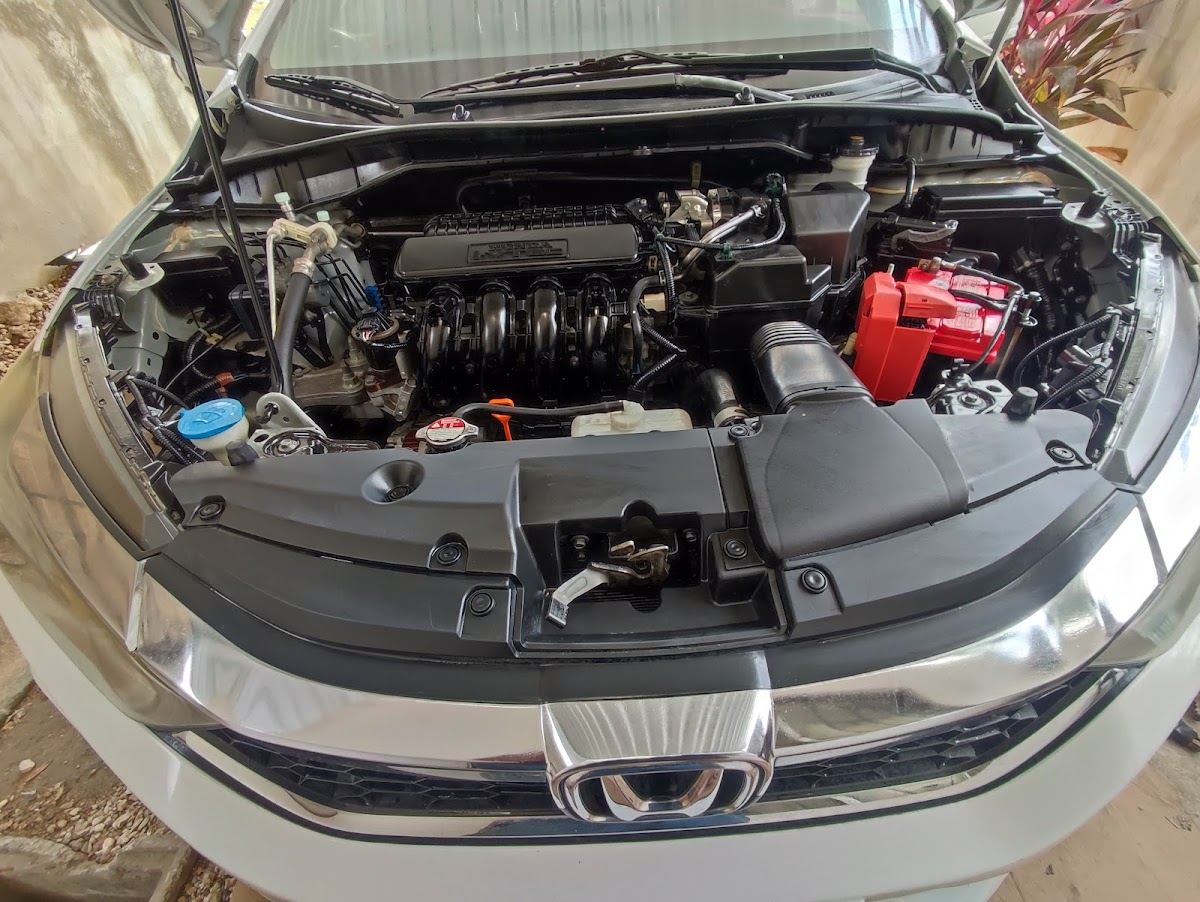 Servicio Eléctrico Automotriz el Gordo