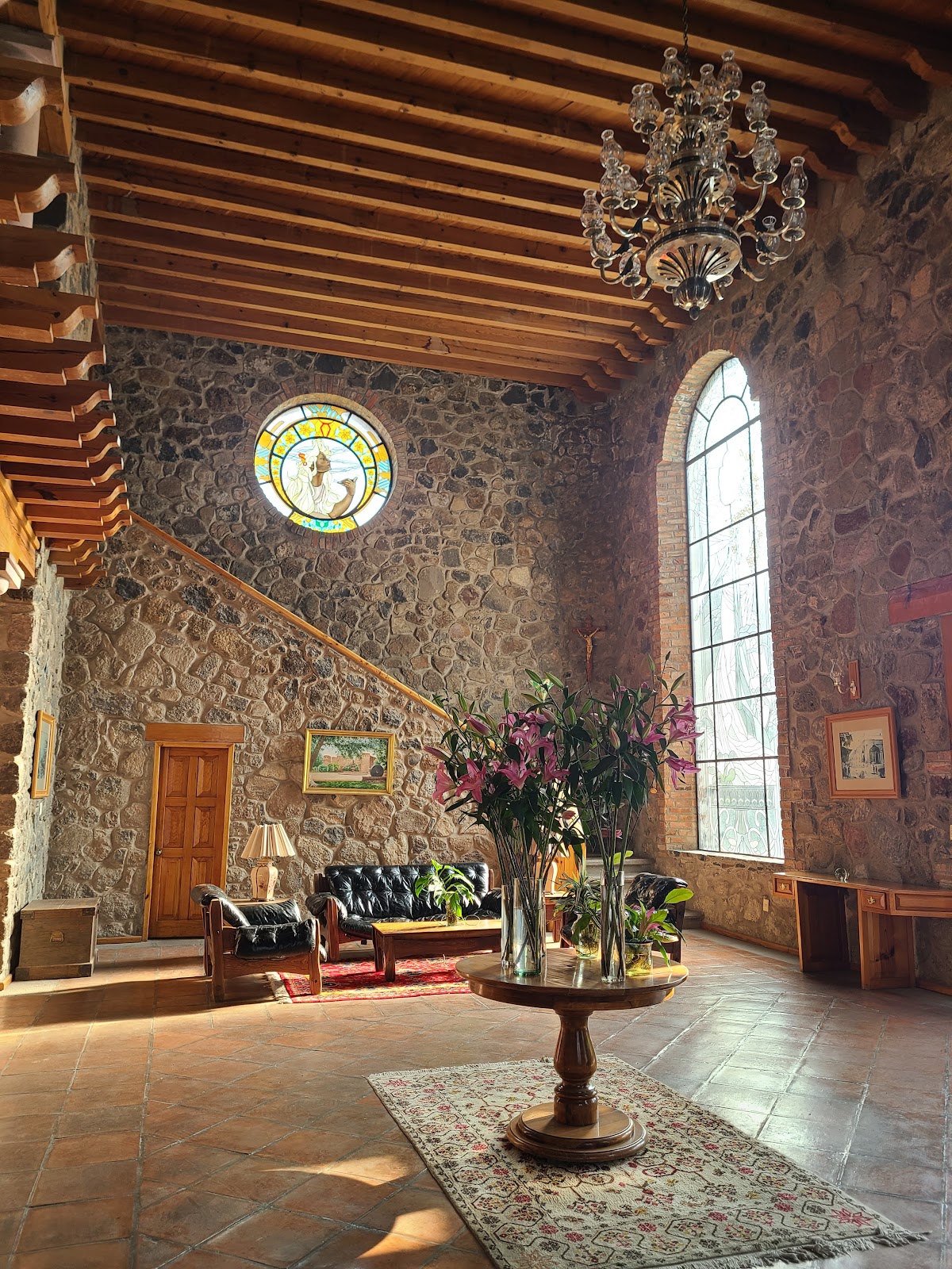 Clinica Veterinaria Jurica