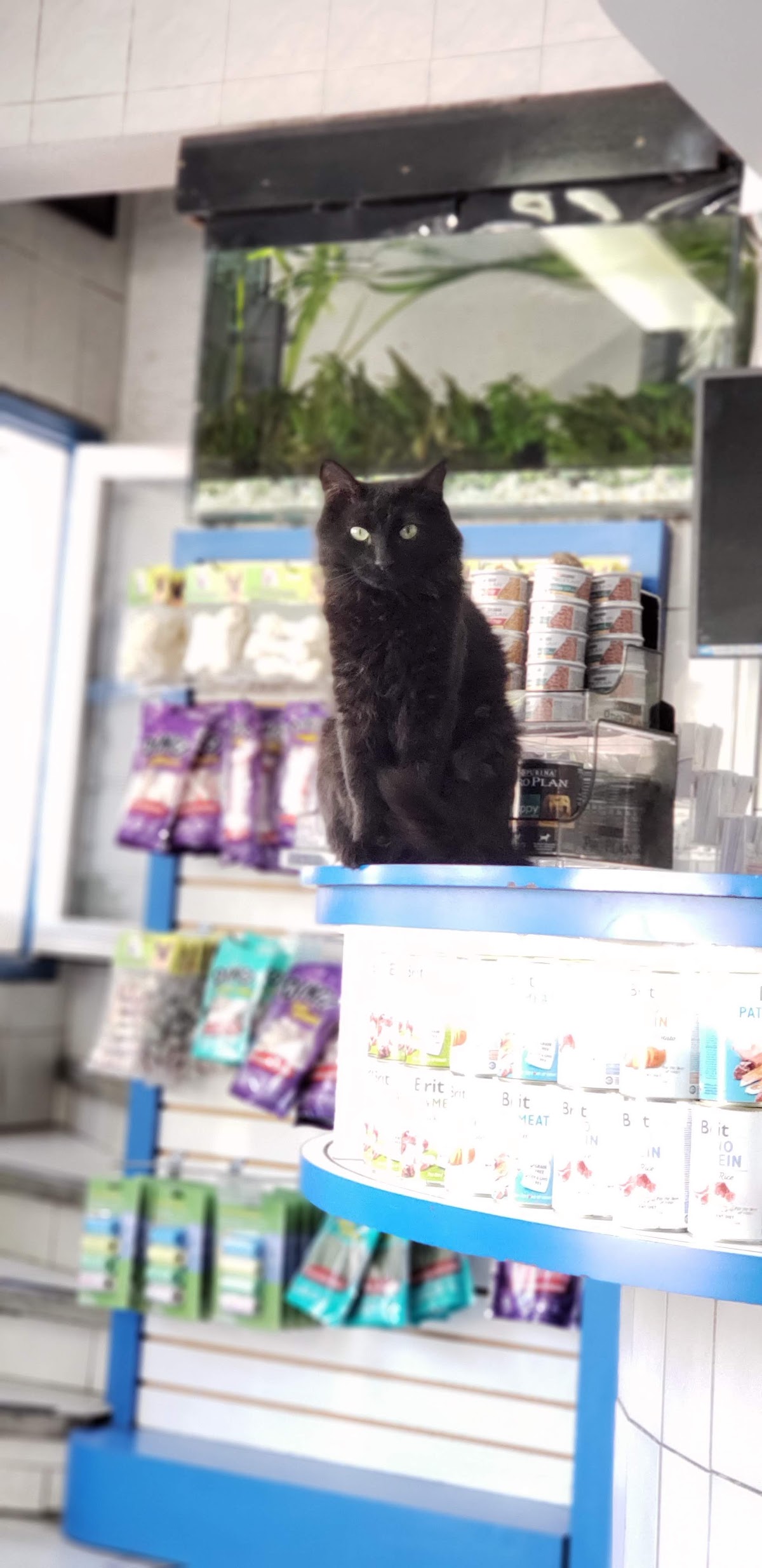Clínica Veterinaria San Cristóbal — foto 3