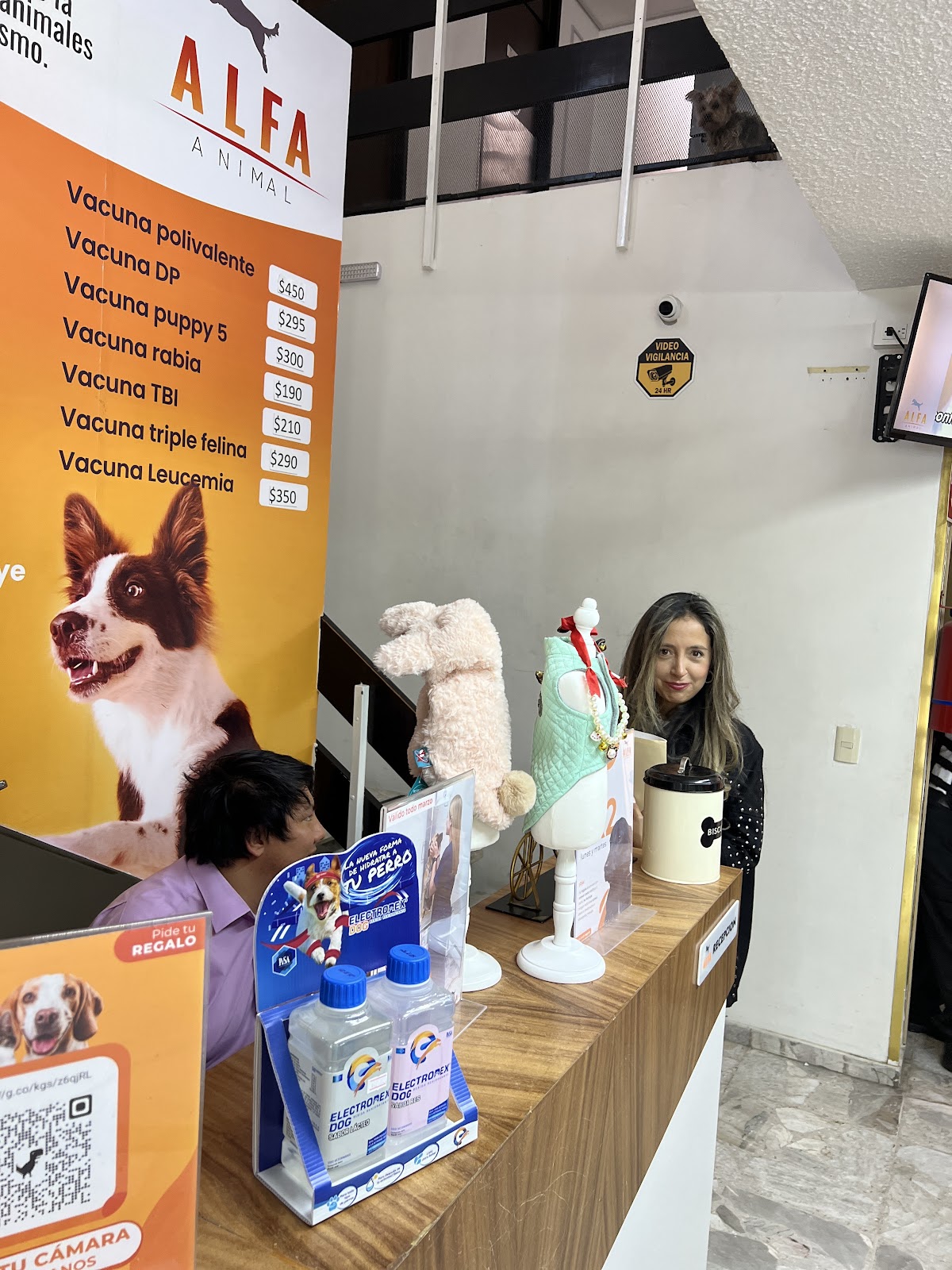 Alfa Animal Hospital Veterinario — foto 2