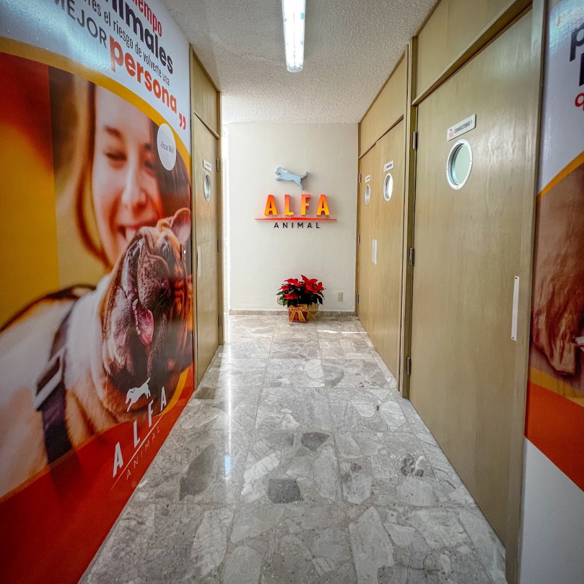 Alfa Animal Hospital Veterinario — foto 4