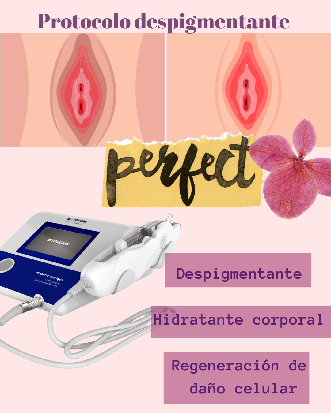 Dr Alan Arvizu — foto 2
