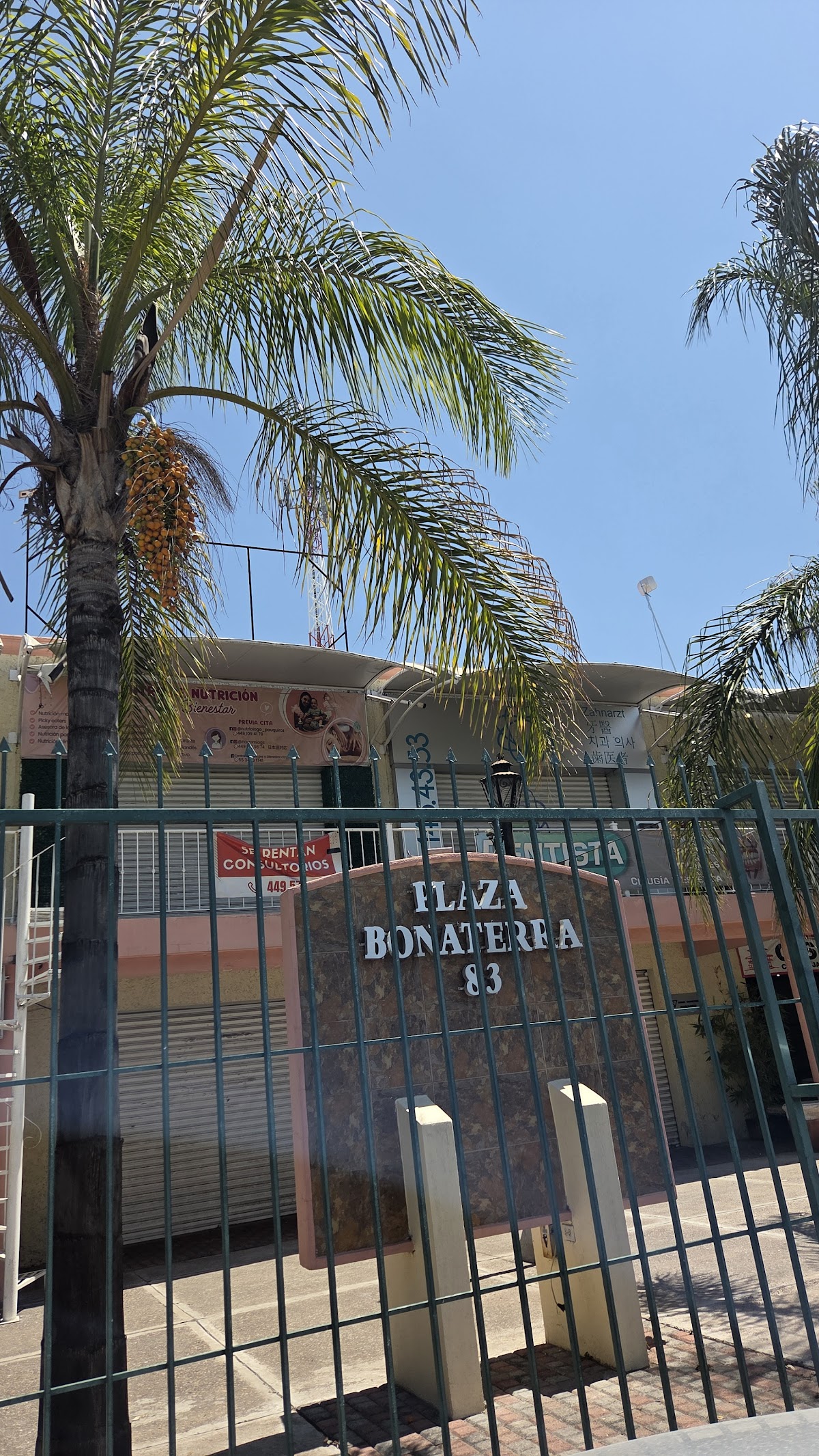 Clínica Dental Pachur — foto 4