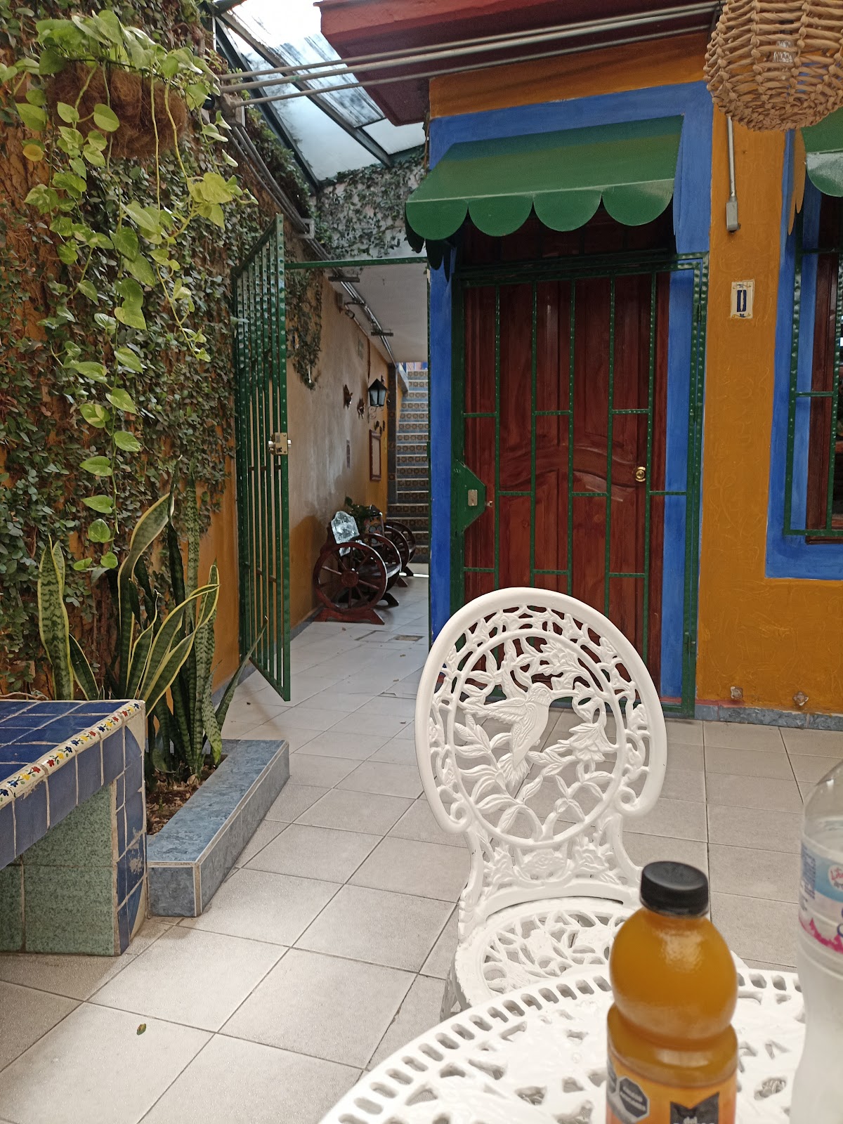 Dentistas en Querétaro - Dentalib — foto 2