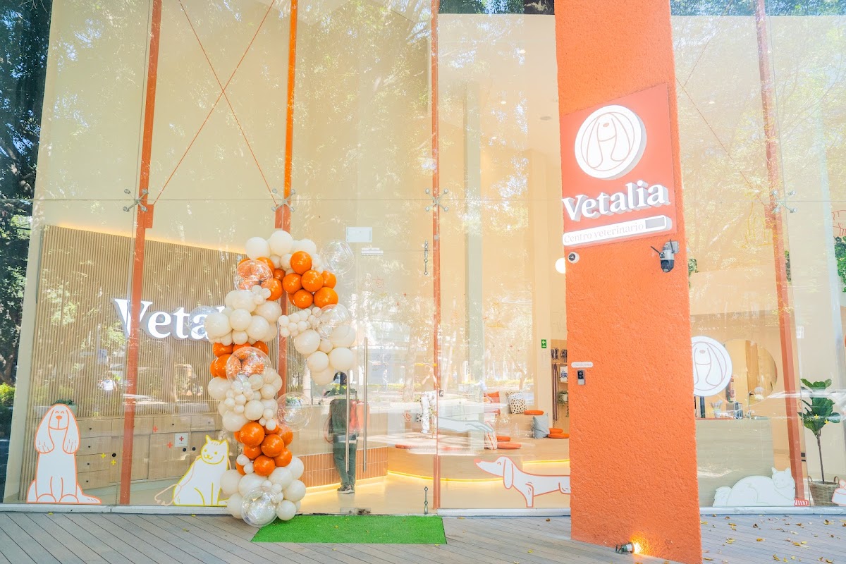 Vetalia Polanco - Hospital Veterinario 24 Horas