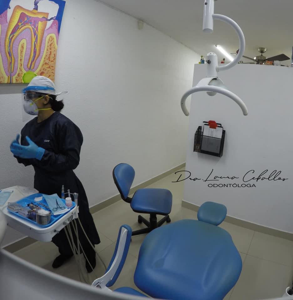 Laura Ceballos Brito, Dentista - Odontólogo, Otras zonas