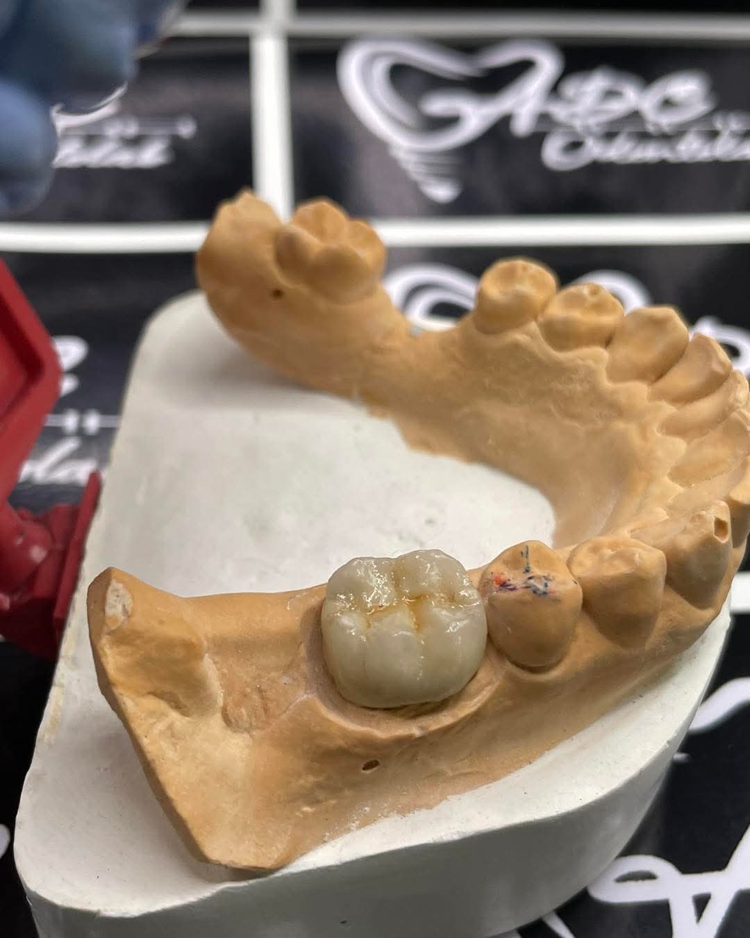 ADC Odontolab Consultorio y laboratorio dental — foto 4
