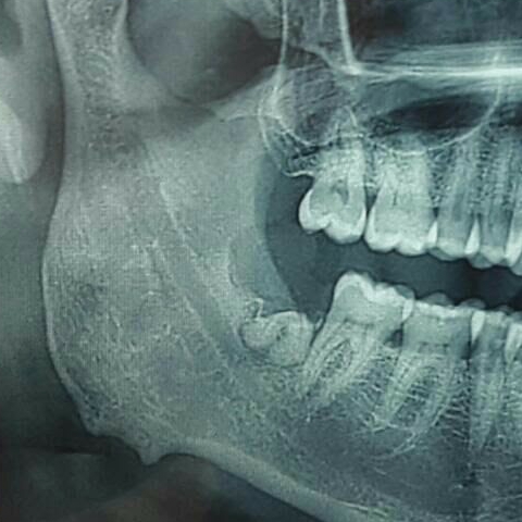 VarVi's DENTAL — foto 3