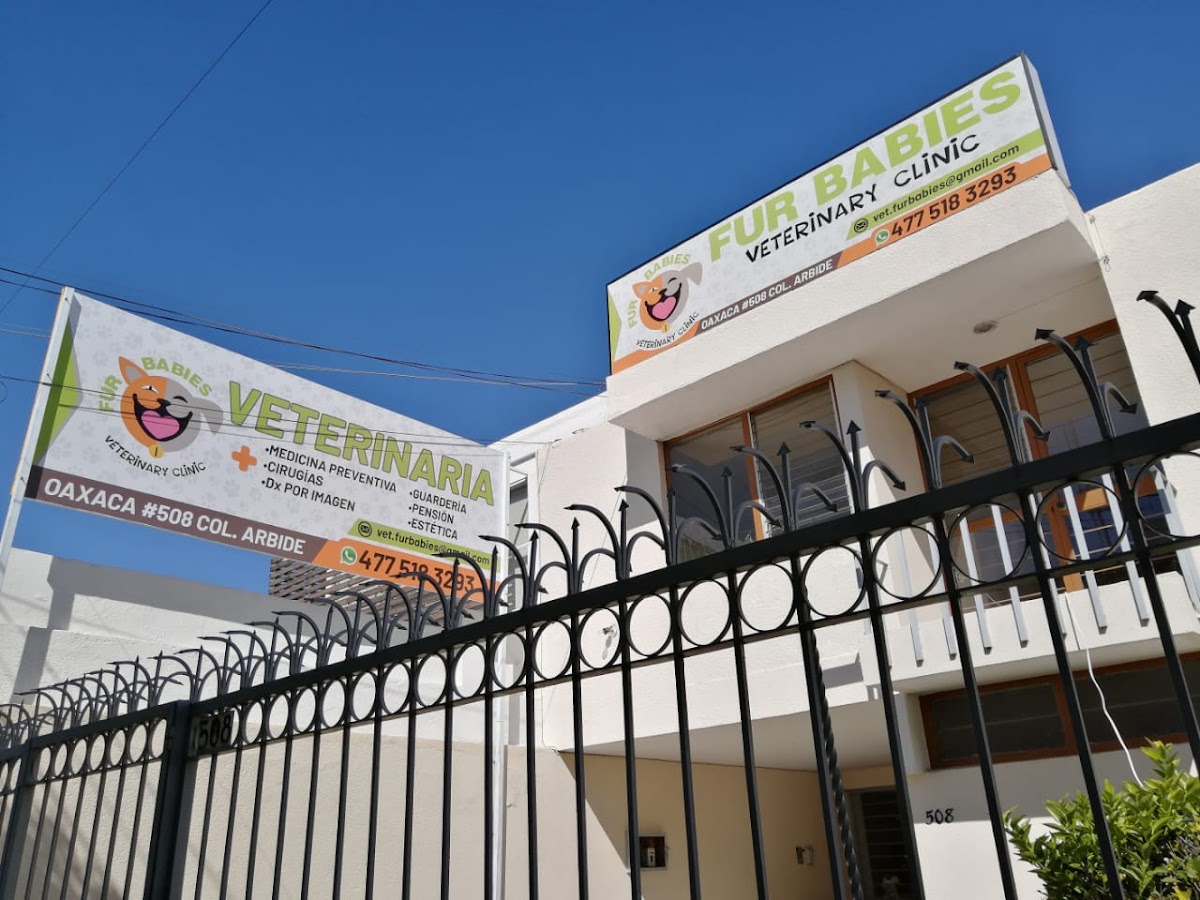 VETERINARIA FurBabiesVet