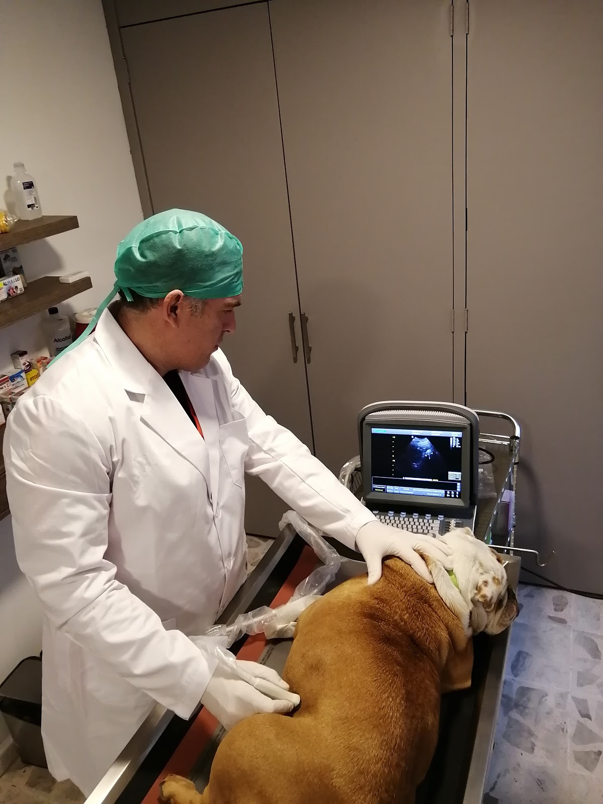 VETERINARIA FurBabiesVet — foto 4