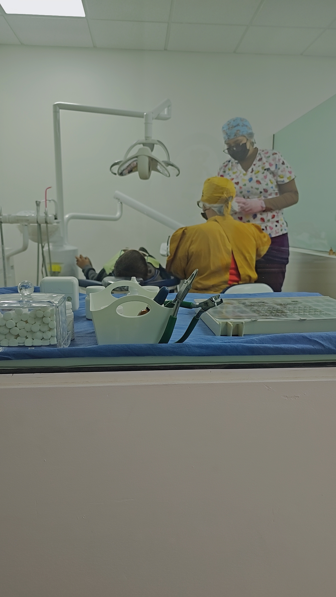 Dra Sandra Borquez Odontopediatra-Ortodoncista — foto 3