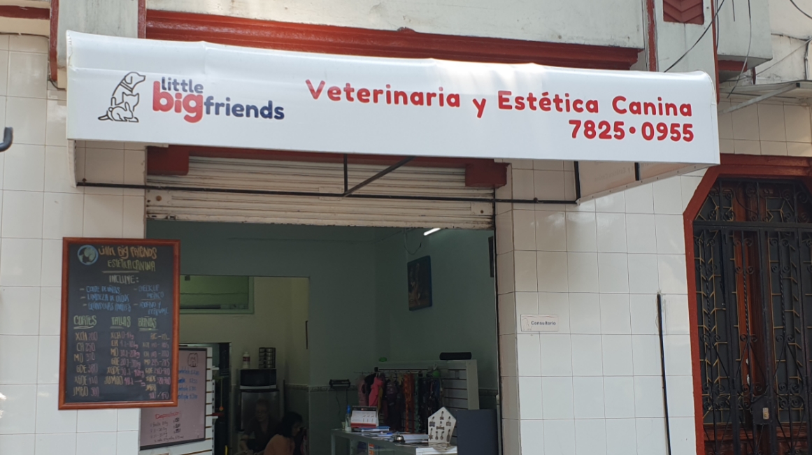 All Pets