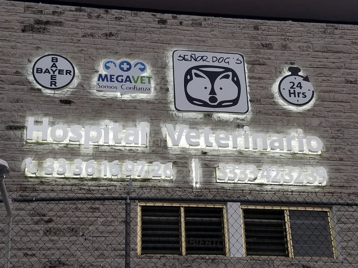 Hospital Veterinario Señor Dog´s