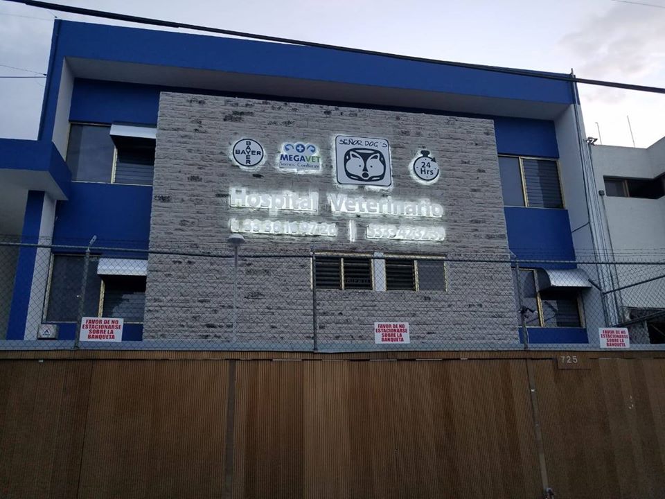 Hospital Veterinario Señor Dog´s — foto 3
