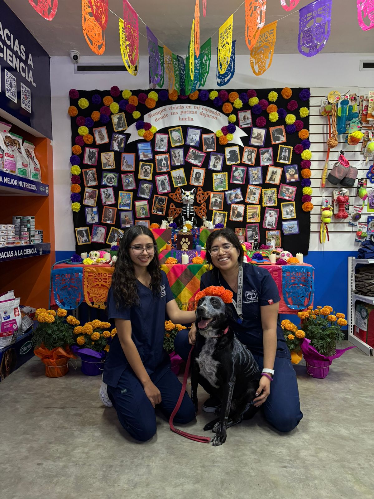 Hospital Veterinario Señor Dog´s — foto 4